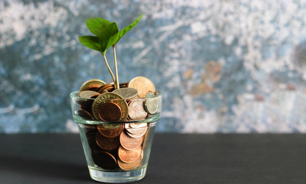 savings coins in jar with plant leaf