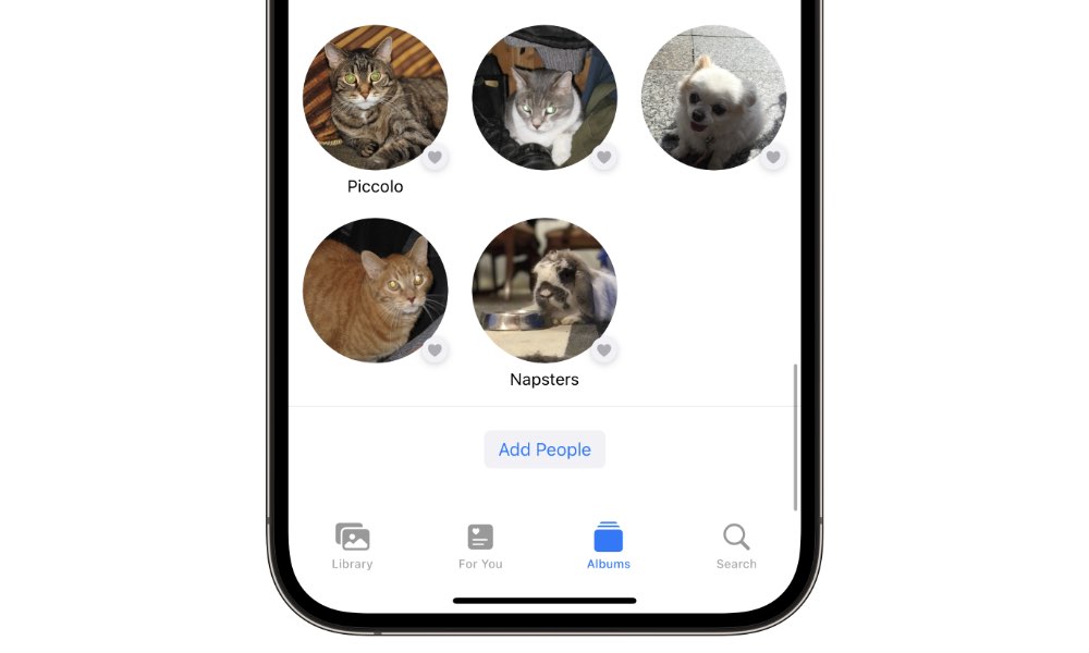 iOS 17 Pet Photo Recognition