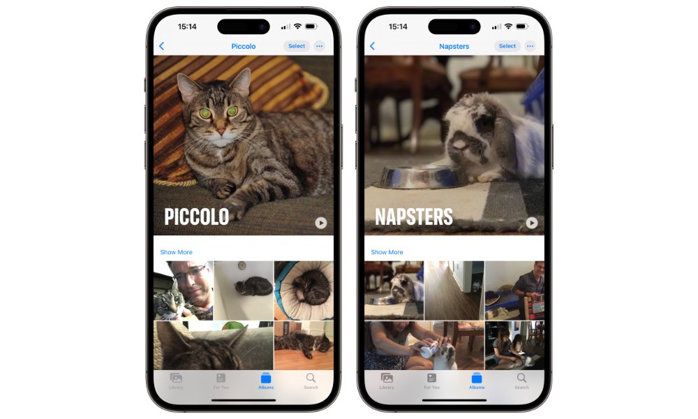 iOS 17 Pet albums Piccolo and Napsters cat and bunny