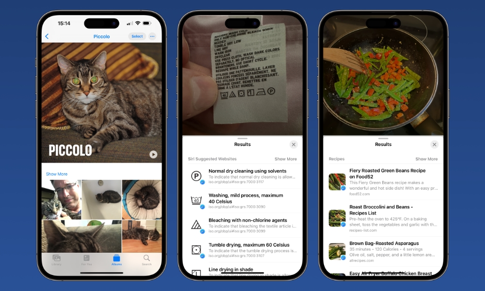 iOS 17 Pet recognition Laundry Food Visual Look Up iOS 17 Pet recognition Laundry Food Visual Look Up