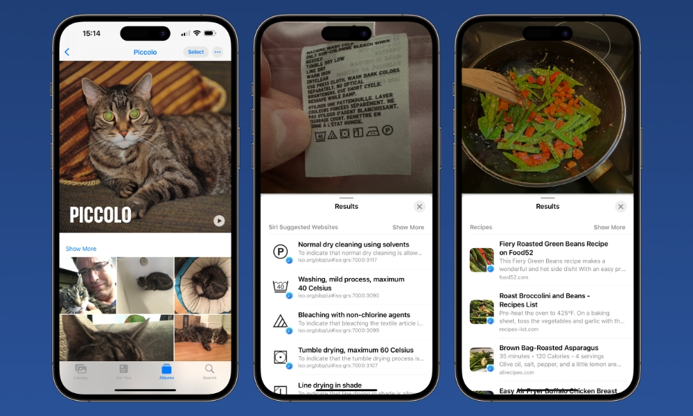 Furry Friends, Laundry Care, and More | Your iPhone’s Image Recognition Will Get Much Smarter in iOS 17 - Image