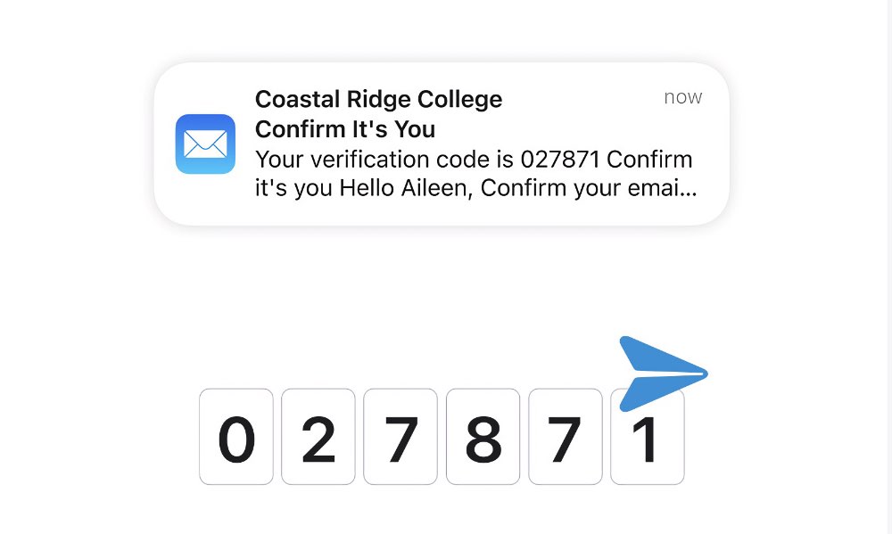 iOS 17 Verification Codes in Mail