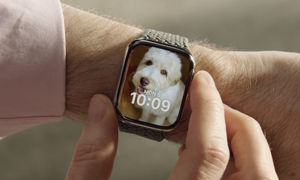 watchOS 10 puppy photo face