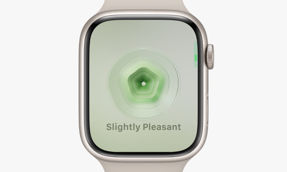 watchOS 10 state of mind mood