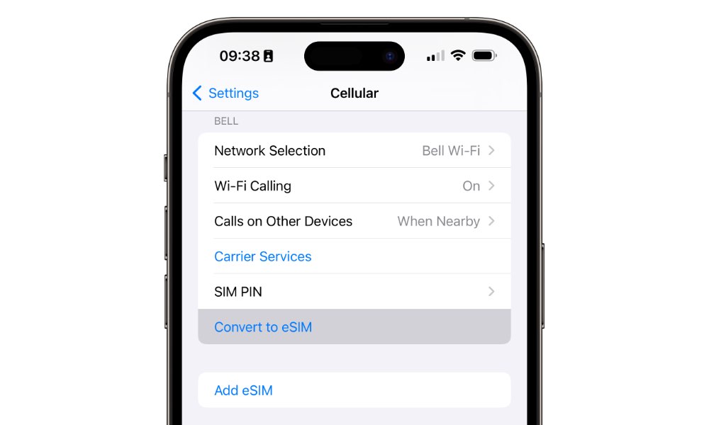 Cellular Settings with Convert to eSIM option