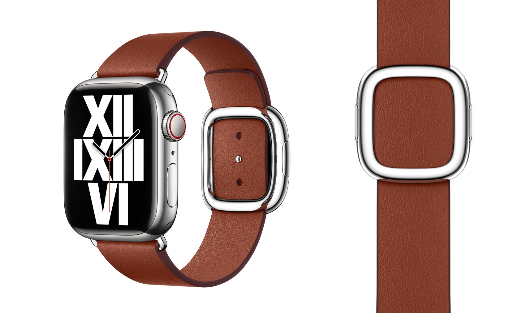 Apple Watch Modern Buckle strap
