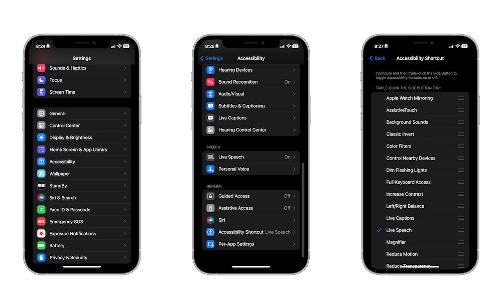 Accessibility Shortcuts iPhone
