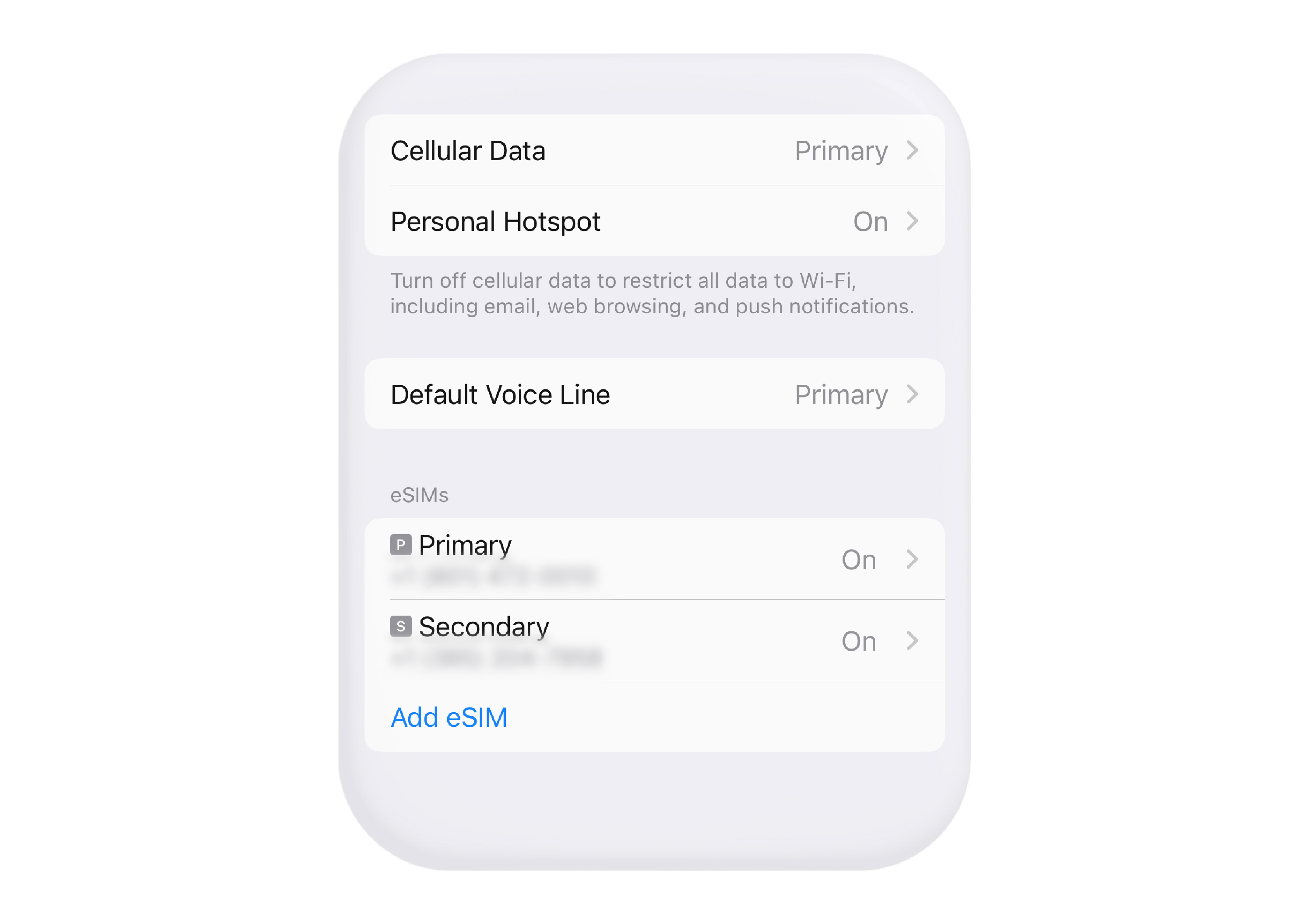 Visual depicting the Cellular settings when using two eSIMs