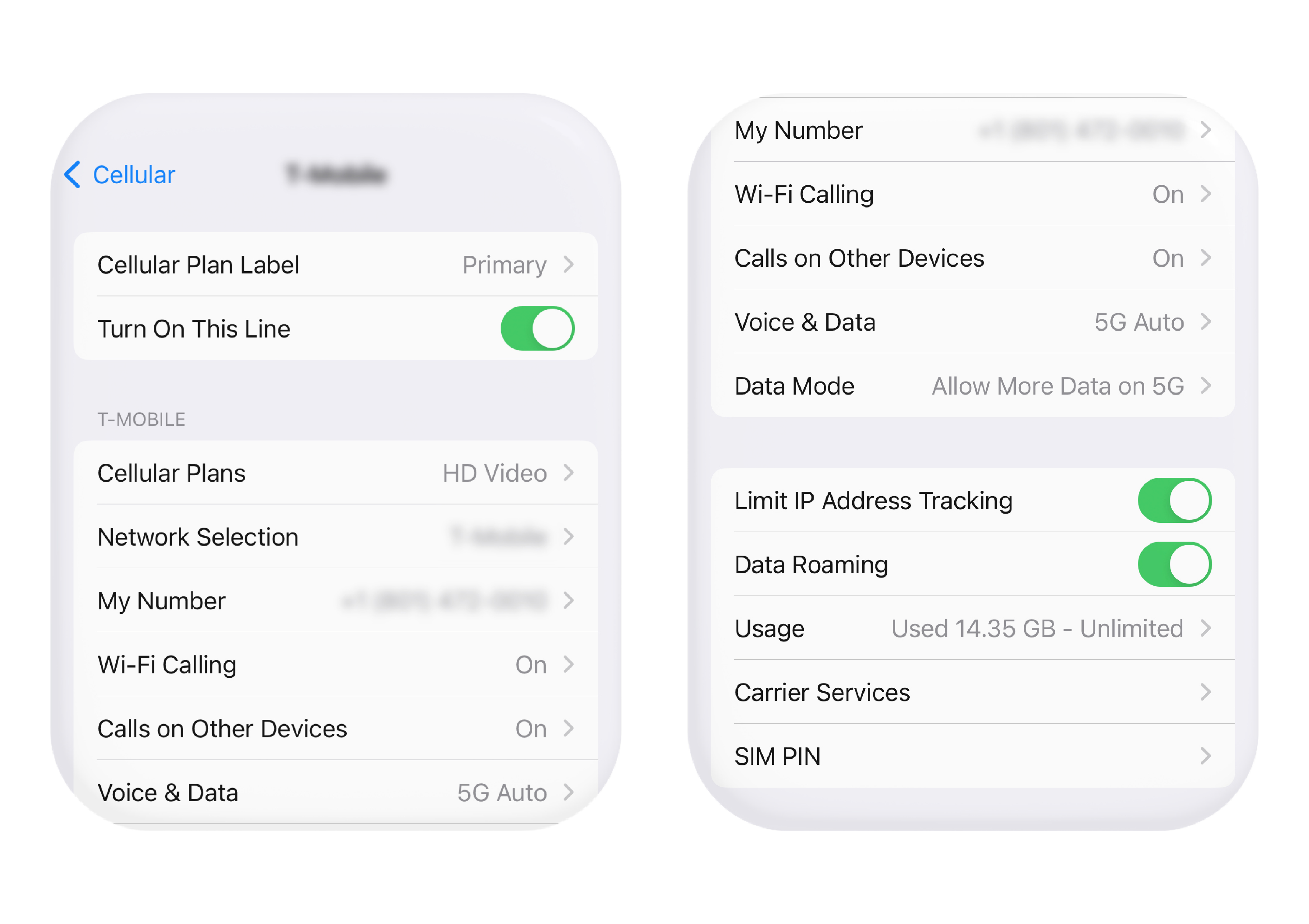 Depiction of settings for a specific eSIM.