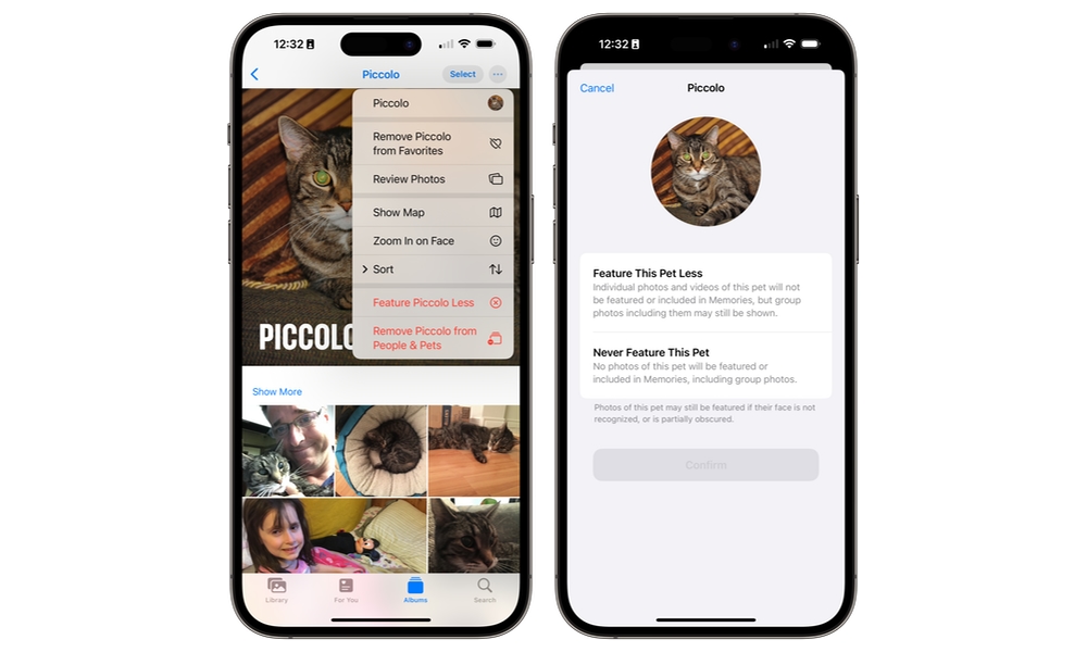 iOS 17 Photos Feature a Pet Less