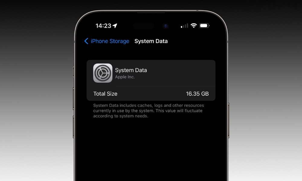iPhone System Data