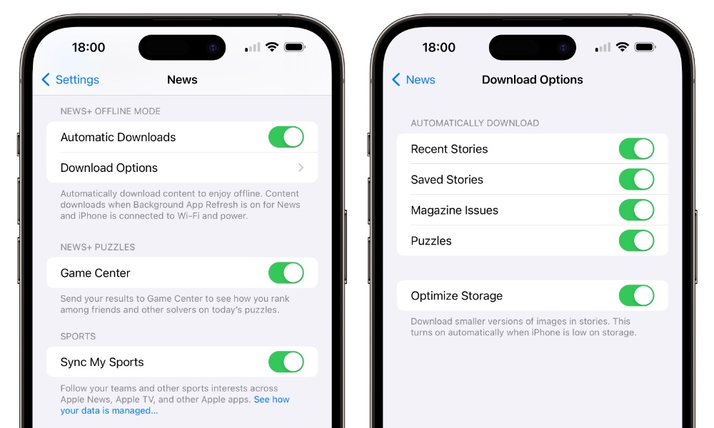 iOS 17.5 Apple News Offline Mode settings