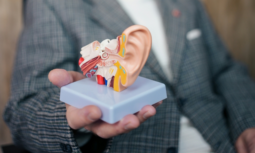 man holding ear model