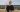 Tim Cook Sept 2023
