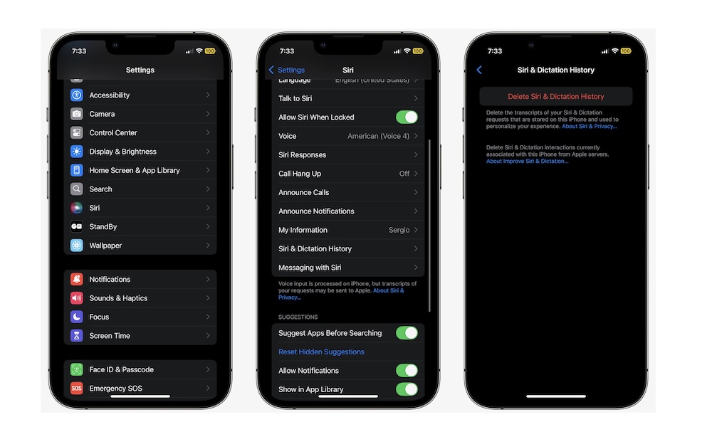 Delete Siri History on iPhone