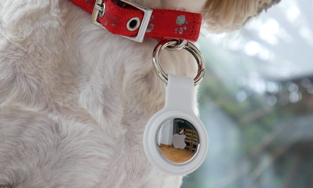 AirTag on dog collar