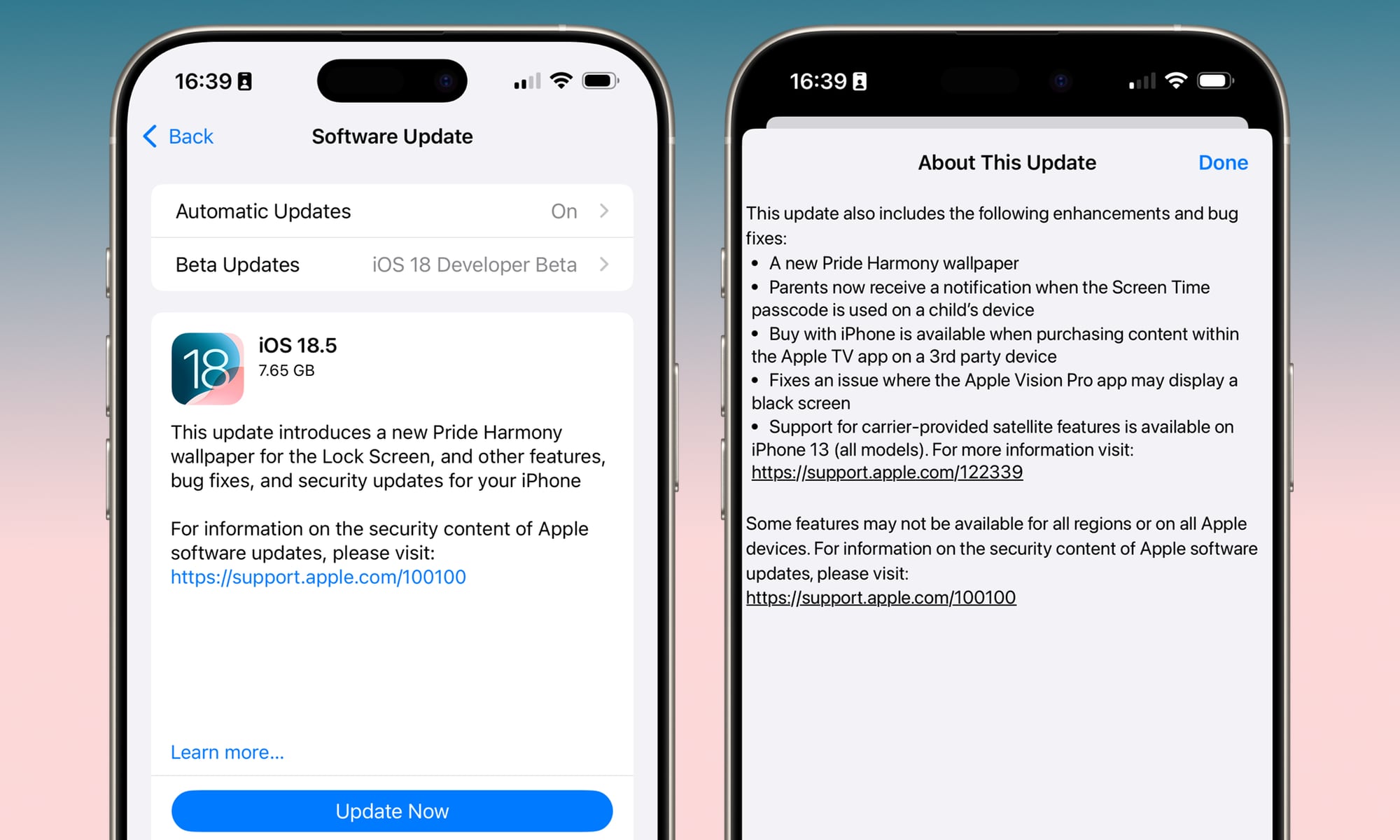 iOS 18.5 RC hero