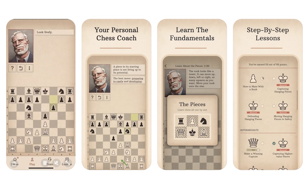 Learn Chess with Dr. Wolf