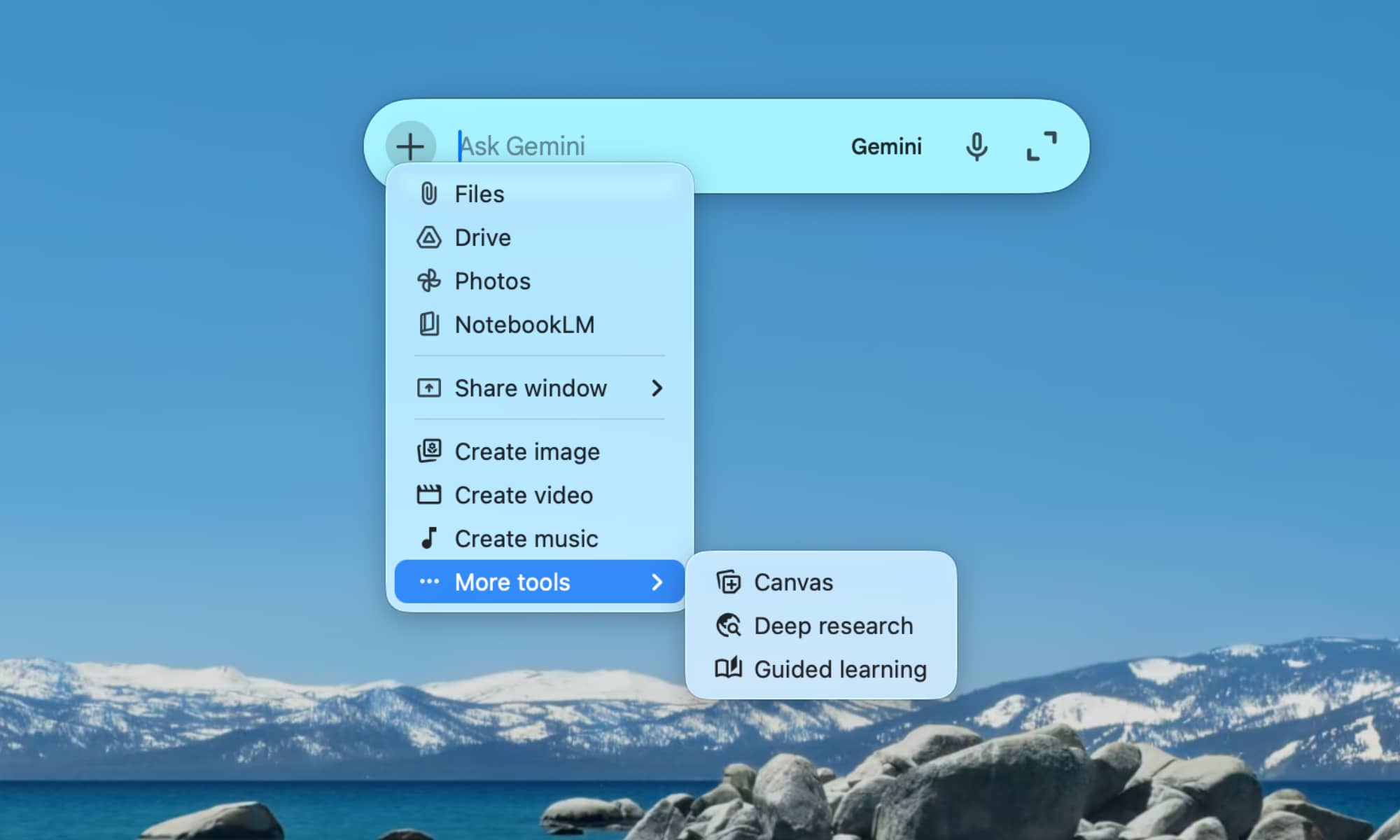 Gemini for Mac mini chat options