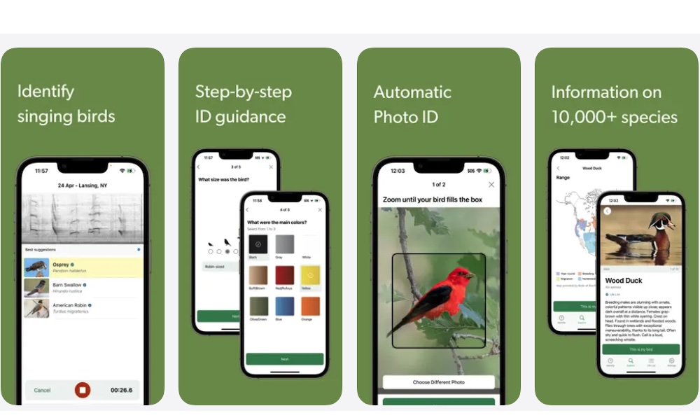 Merlin Bird ID App Store
