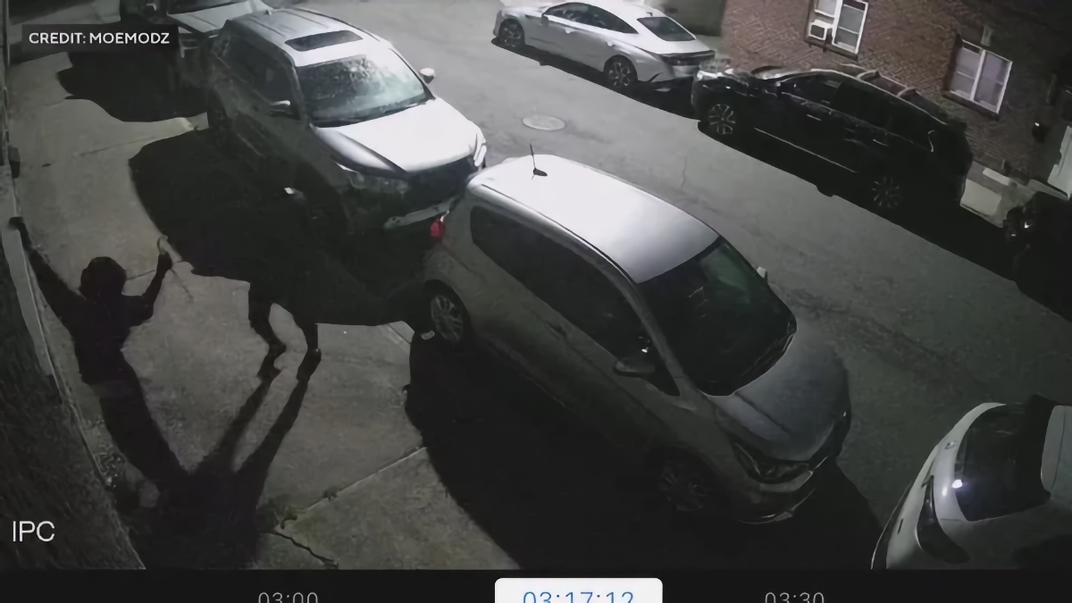 Surveillance video shows Lamborghini thieves breaking into MoeModz auto shop in Elmwood Park, New Jersey