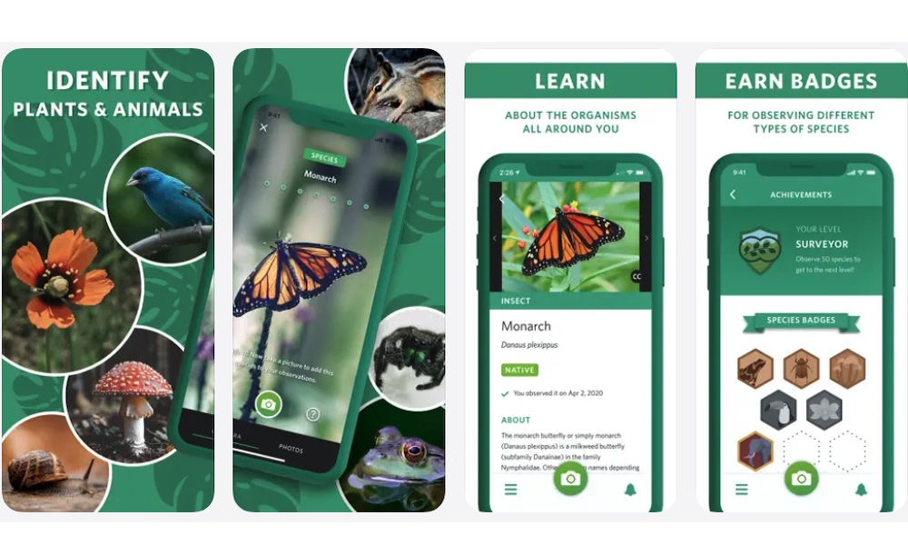 Seek by iNaturalist App Store