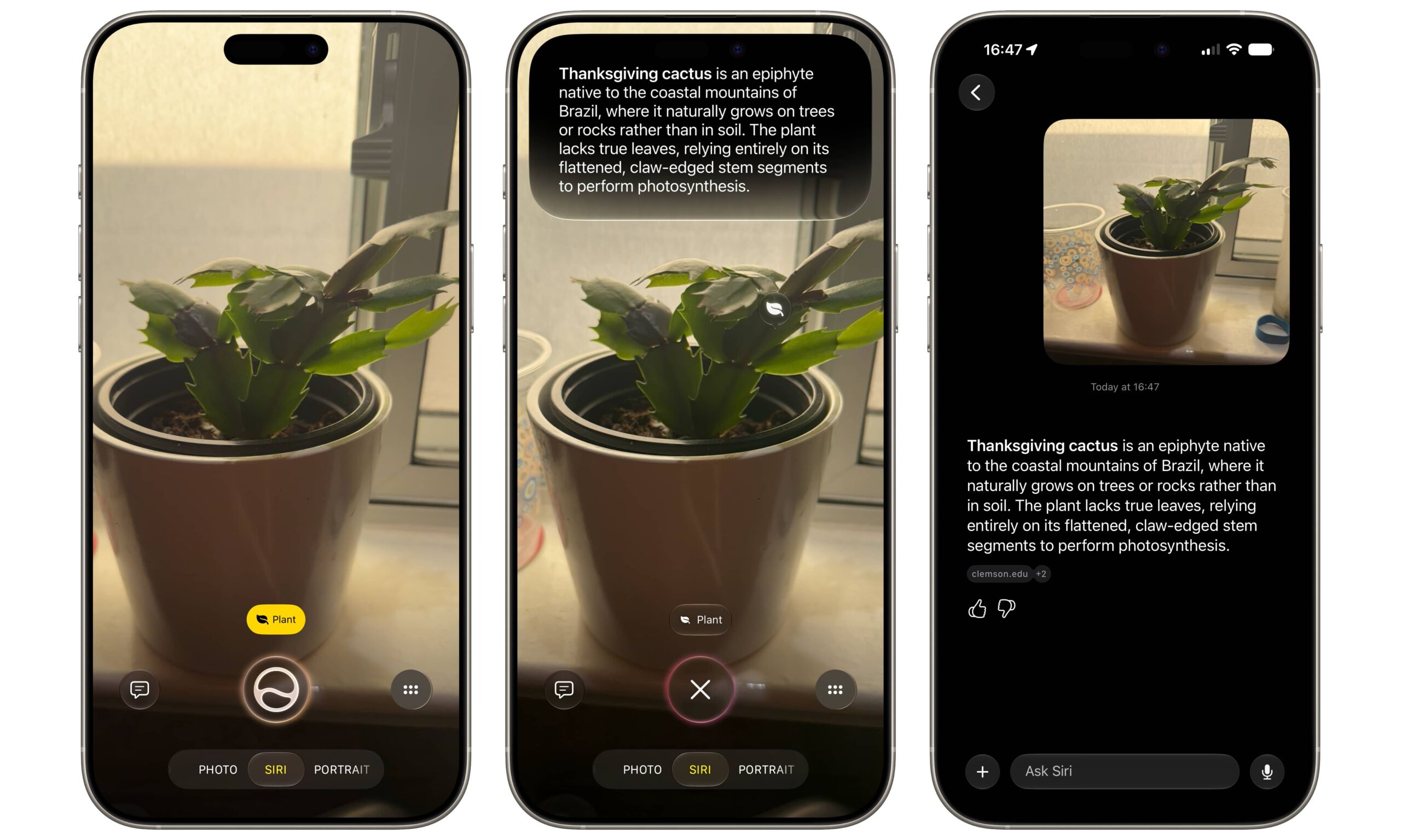 iOS 27 beta Siri AI Visual Intelligence