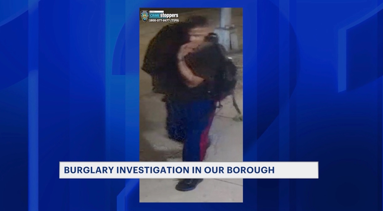 News 12 Brooklyn Children Aid Society Theft Suspect