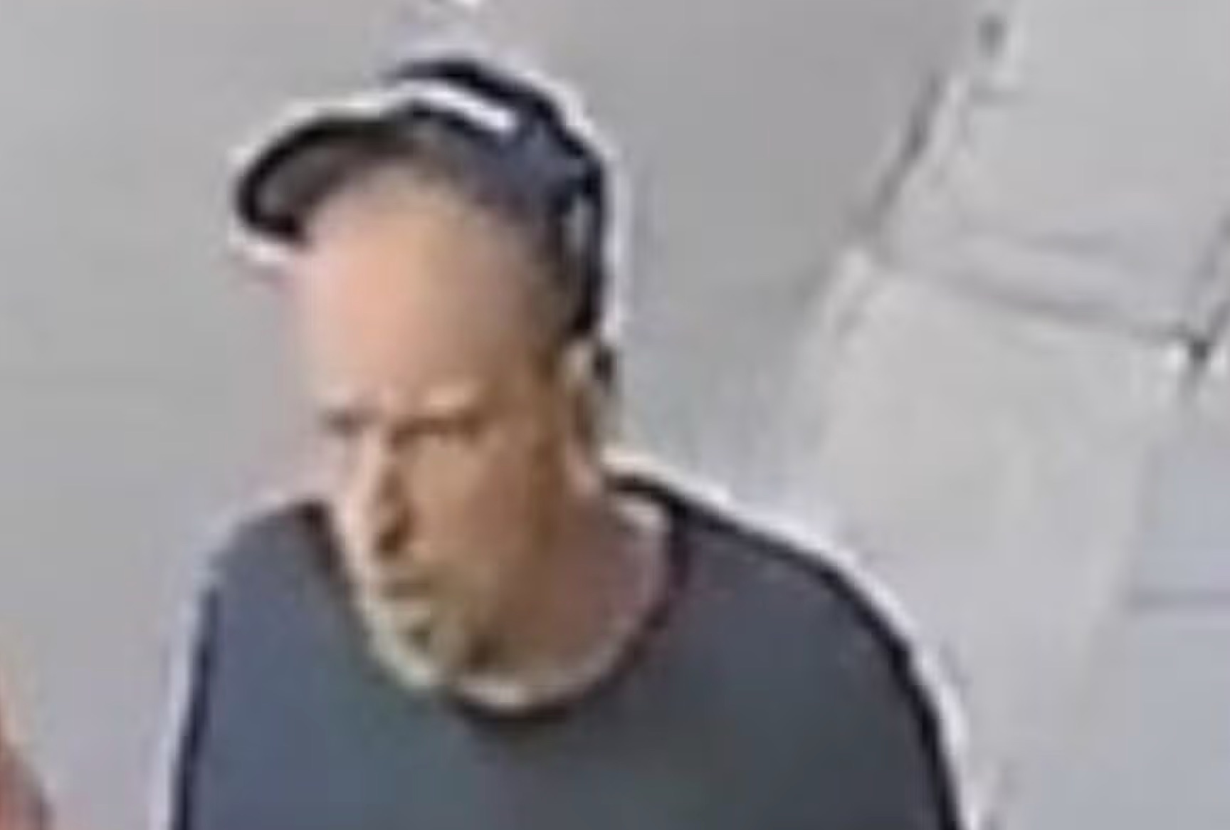 Suspect biter thief UK