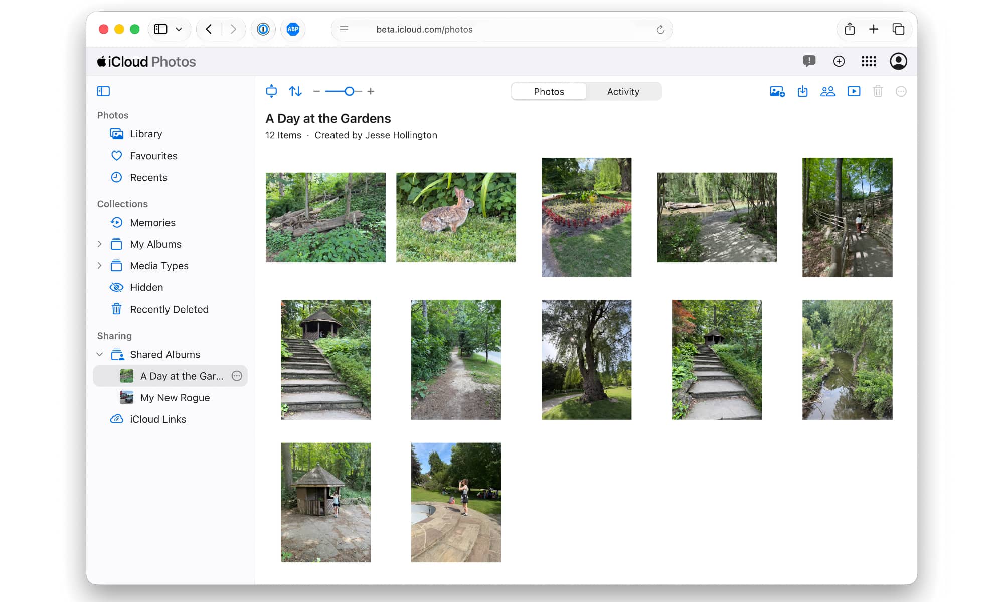 iOS 27 Shared Albums web view