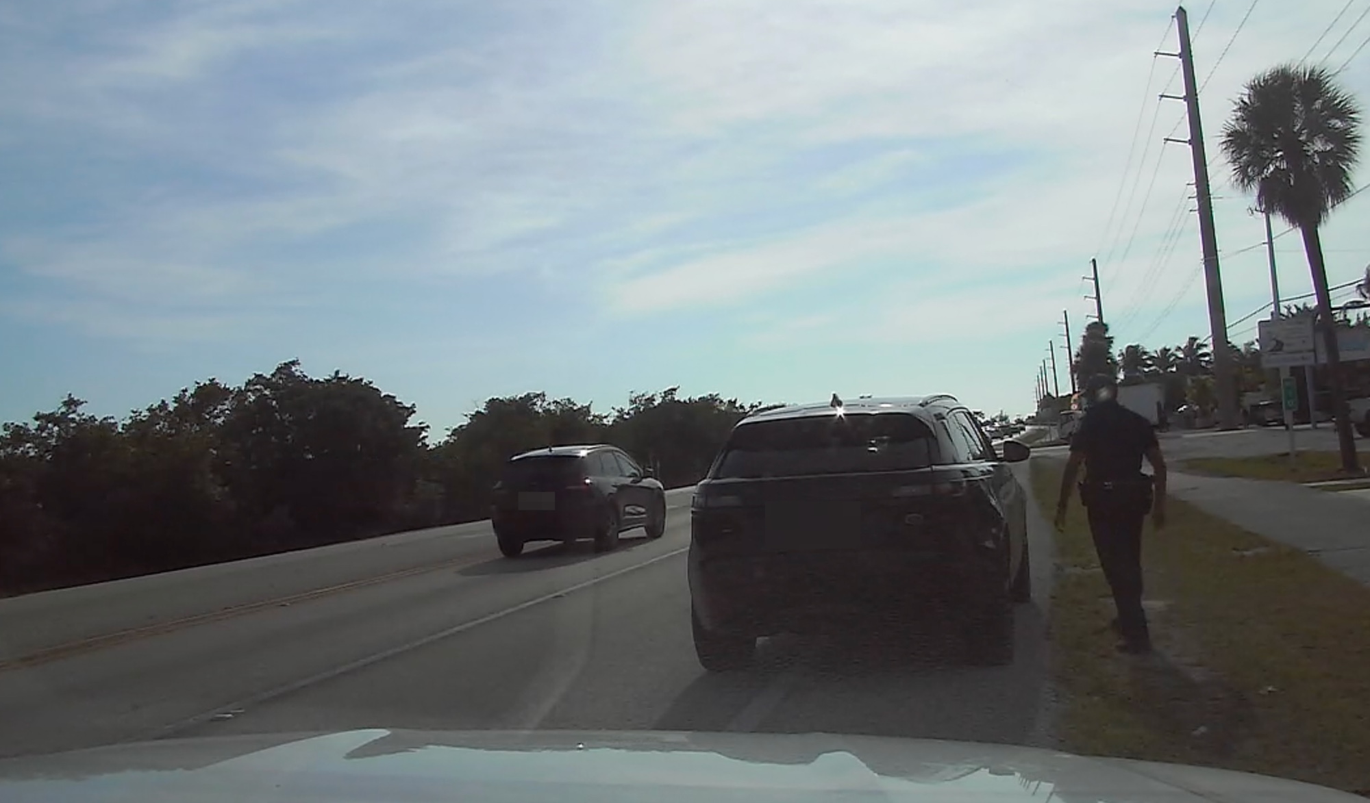 in car video bad monkey cop
