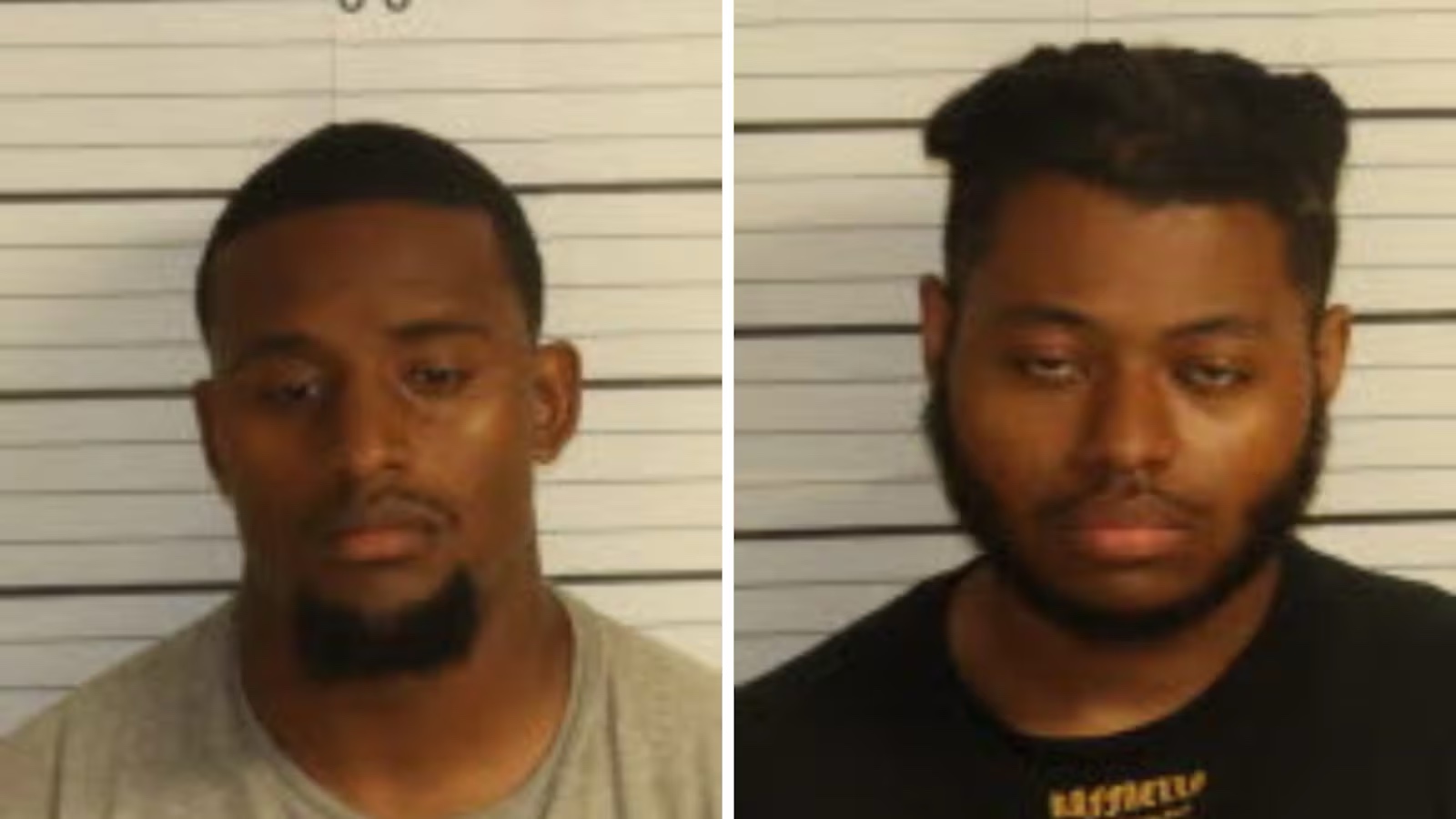 tinymoose thieves