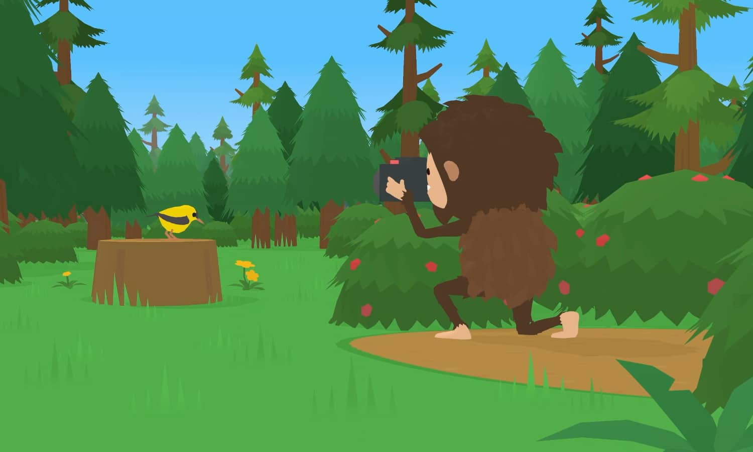 Sneaky Sasquatch Birdwatching