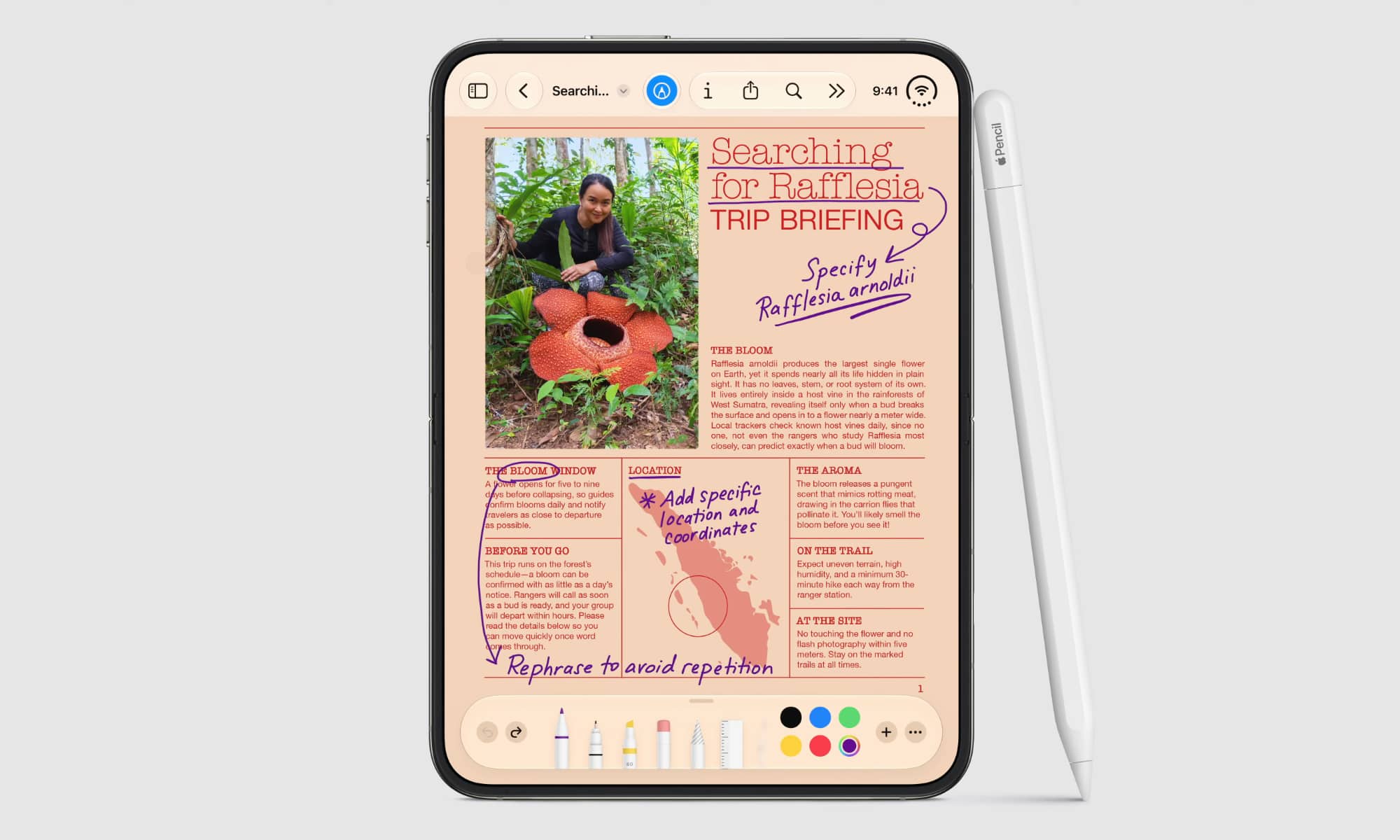 iPhone Duo Apple Pencil