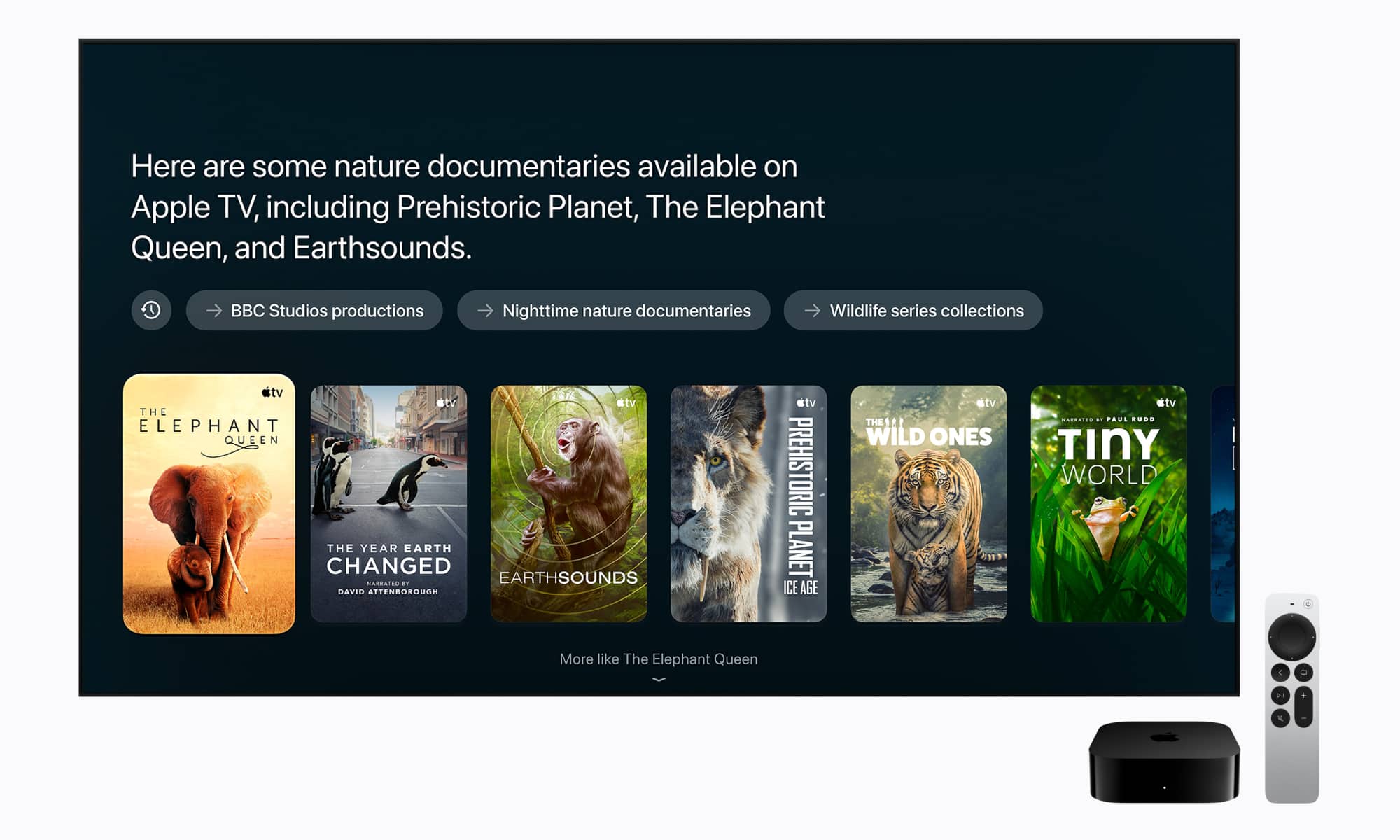 Apple TV 4K with Siri AI suggestions 261013
